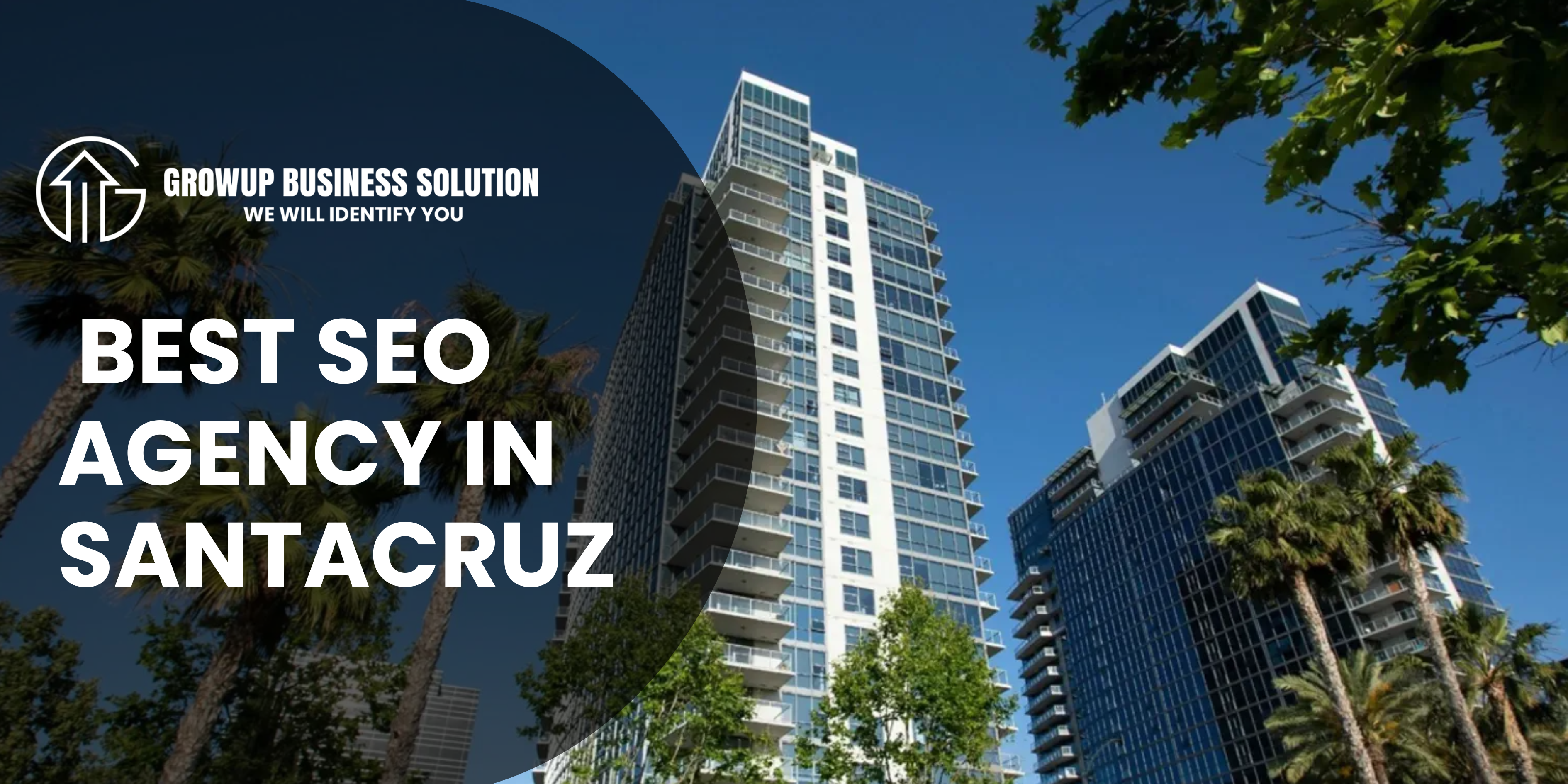 SEO Agency in Santacruz